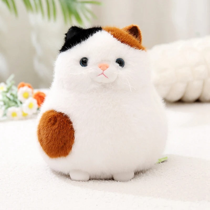 Kawaii Chubby Cat Plush – Cute Round Stuffed Animal