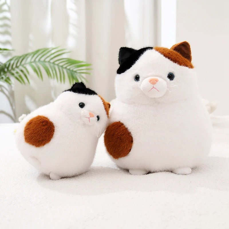 Kawaii Chubby Cat Plush – Cute Round Stuffed Animal