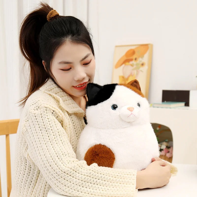 Kawaii Chubby Cat Plush – Cute Round Stuffed Animal