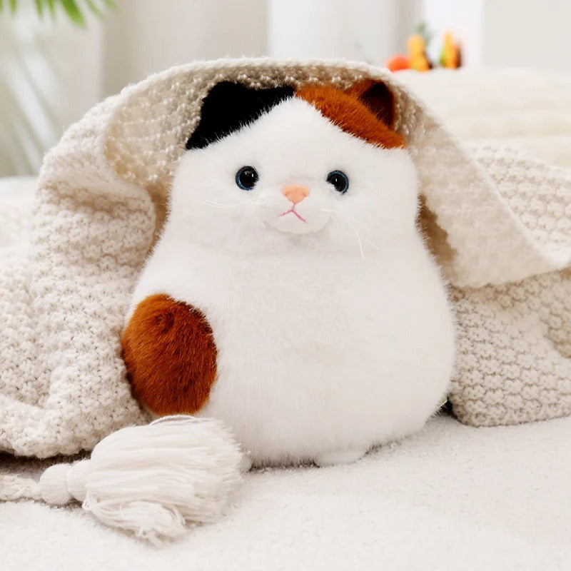 Kawaii Chubby Cat Plush – Cute Round Stuffed Animal