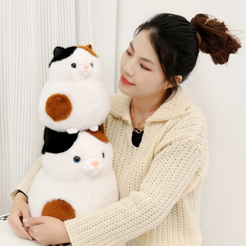 Kawaii Chubby Cat Plush – Cute Round Stuffed Animal